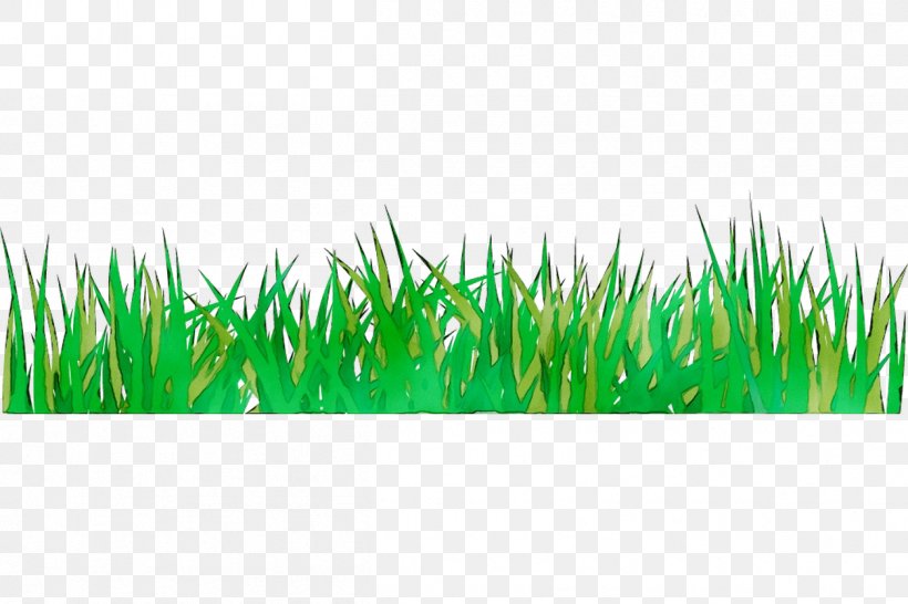 Wheatgrass Green Commodity, PNG, 1254x836px, Wheatgrass, Artificial Turf, Commodity, Grass, Grass Family Download Free