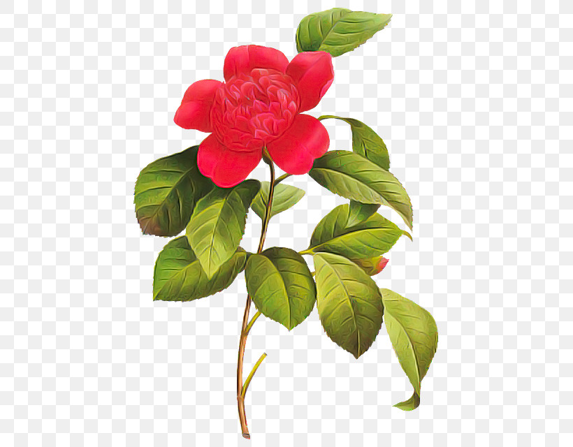 Artificial Flower, PNG, 459x640px, Flower, Anthurium, Artificial Flower, Branch, Camellia Download Free