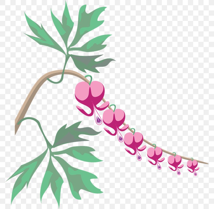 Branch Leaf Clip Art, PNG, 780x800px, Branch, Flora, Flower, Flowering Plant, Gratis Download Free