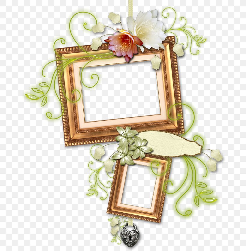 Hardcover Picture Frames Daum, PNG, 700x838px, Hardcover, Blog, Daum, Filename Extension, Flower Download Free