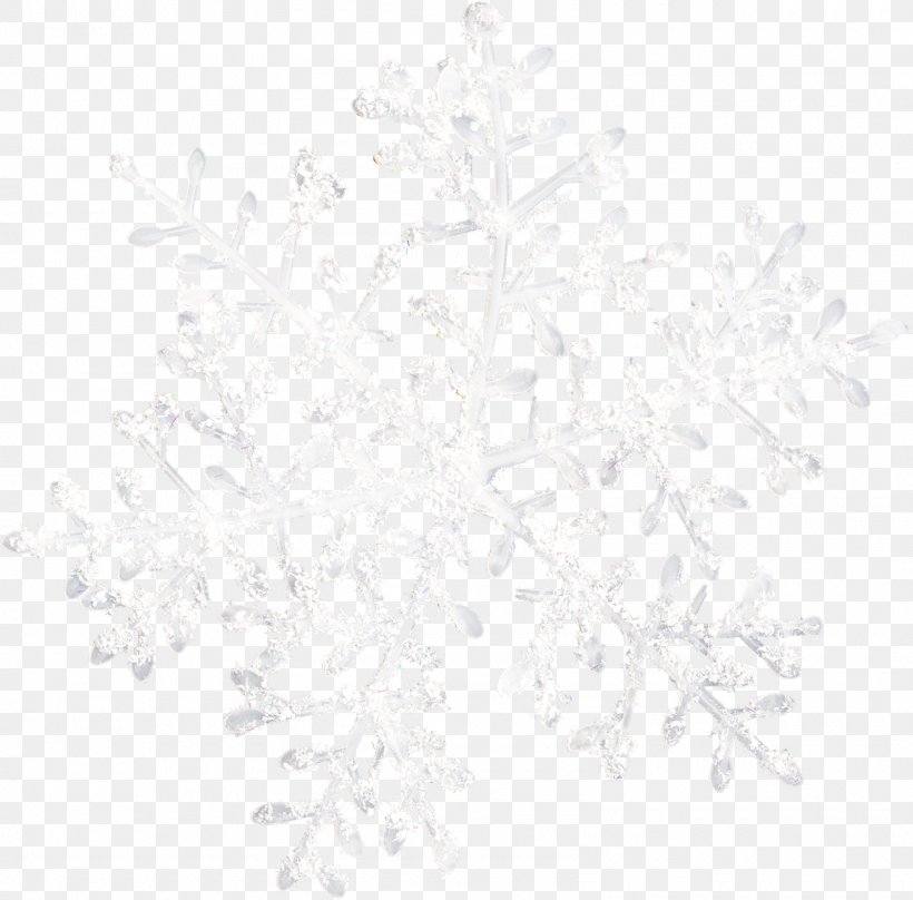 Snowflake Image Clip Art, PNG, 1600x1577px, Snowflake, Black And White, Branch, Christmas Day, Information Download Free