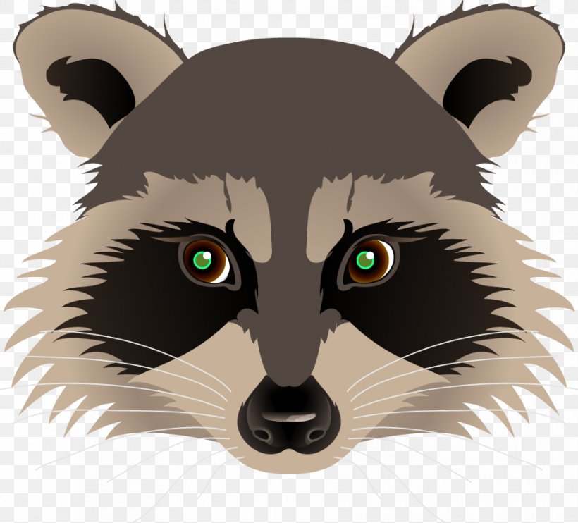 Raccoon Drawing Painting Clip Art, PNG, 916x829px, Raccoon, Art, Bear, Big Cats, Carnivoran Download Free