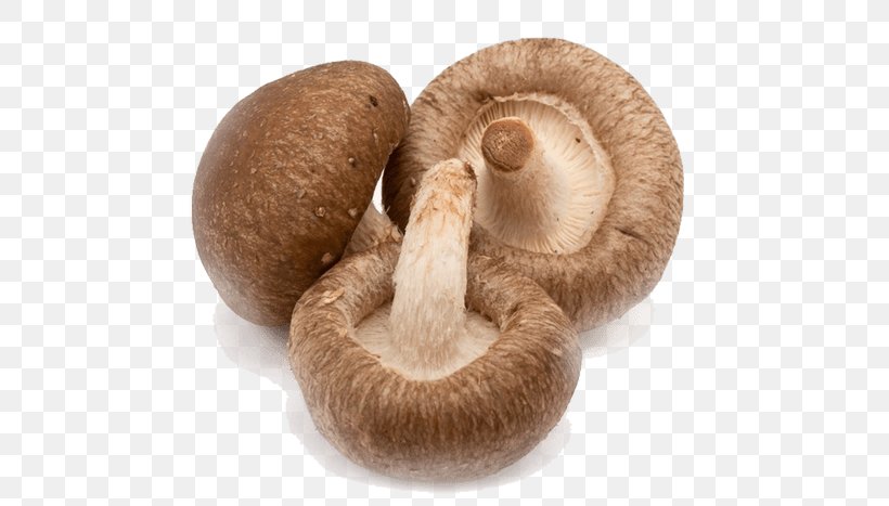 Shiitake Fungus Mushroom Food Medicinal Fungi, PNG, 700x467px, Shiitake, Cholesterol, Citrus, Crop, Document Download Free