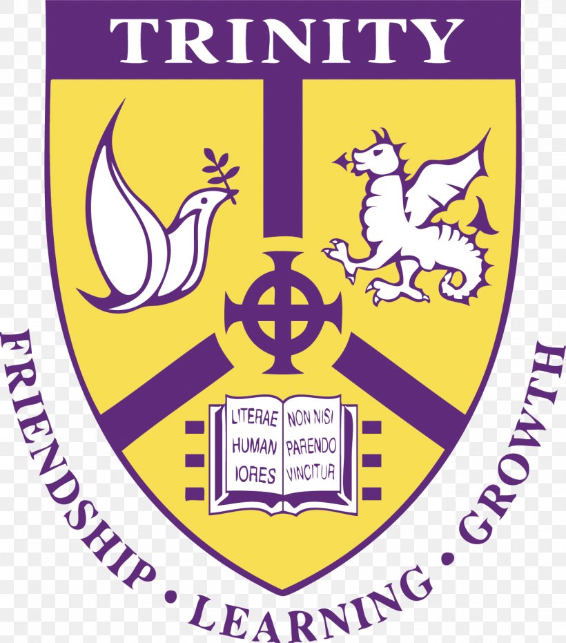 University Of Dublin Residential College Trinity College Organization, PNG, 1337x1518px, University Of Dublin, Area, Brand, College, Community Download Free