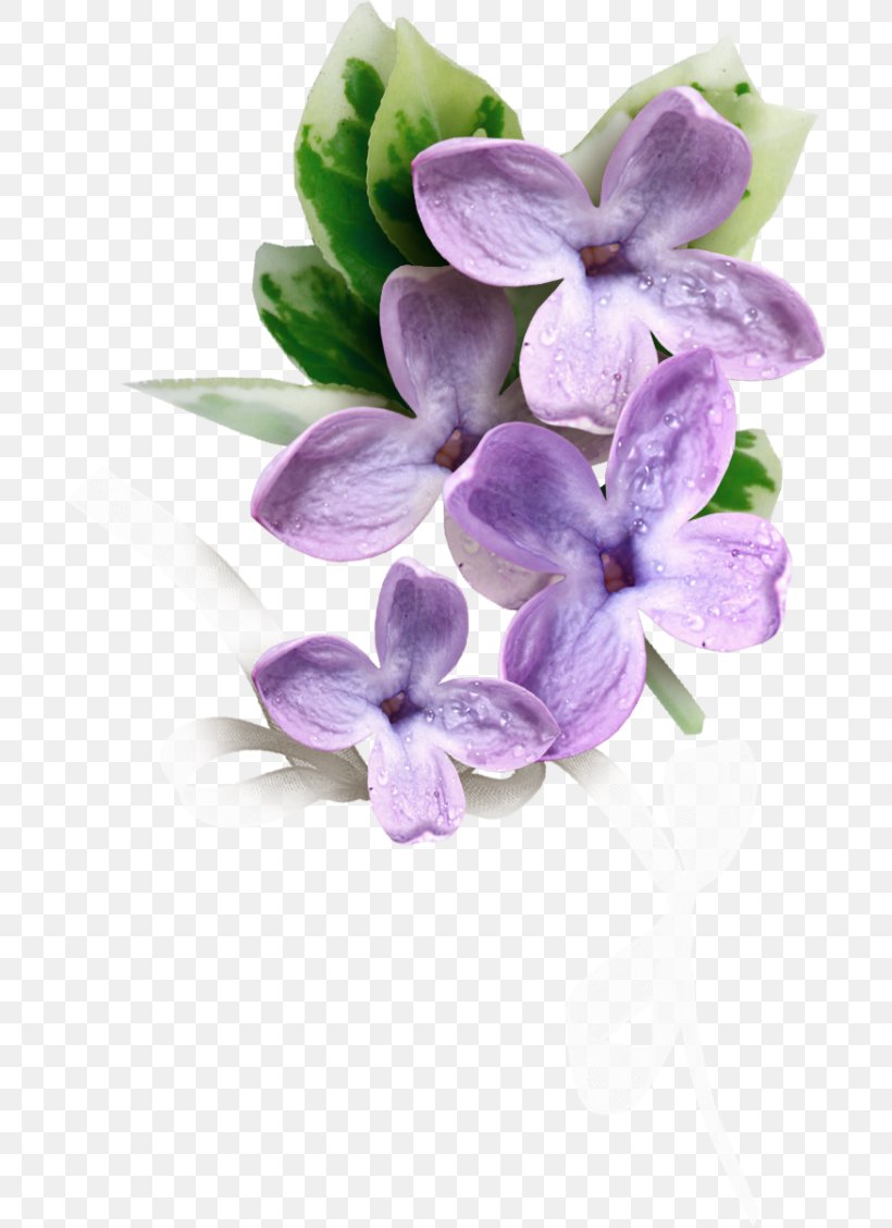 Flowering Plant Plants Lilac Silk Baby's Breath, PNG, 700x1128px, Flower, Blue, Cut Flowers, Flowering Plant, Leaf Download Free