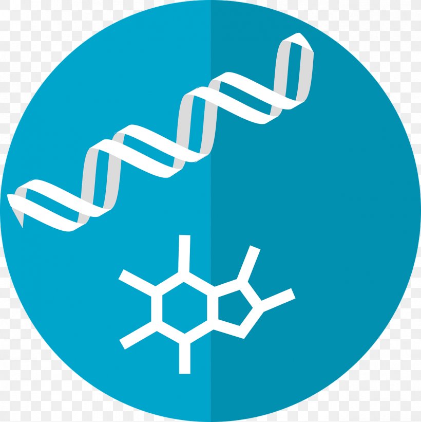 Metabolism Metabolomics Metabolome, PNG, 1277x1280px, Metabolism, Area, Blue, Brand, Business Development Company Download Free