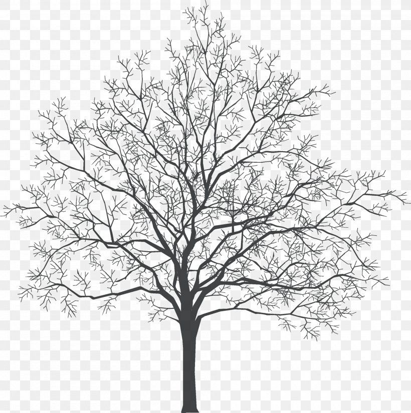 Tree, PNG, 2000x2013px, Tree, Black And White, Branch, Digital Image, Interior Design Services Download Free