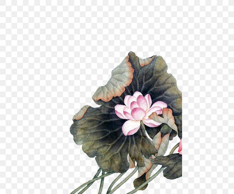 China Chinese Painting Chinese Art Flower, PNG, 456x678px, China, Art, Birdandflower Painting, Chinese Art, Chinese Painting Download Free