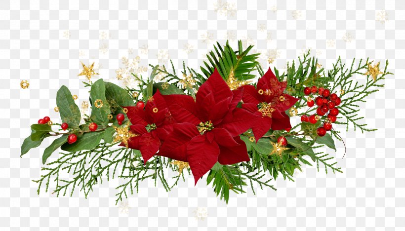 Christmas Flower Desktop Wallpaper Poinsettia, PNG, 2400x1372px, Christmas, Advent, Advent Candle, Christmas Decoration, Christmas Eve Download Free