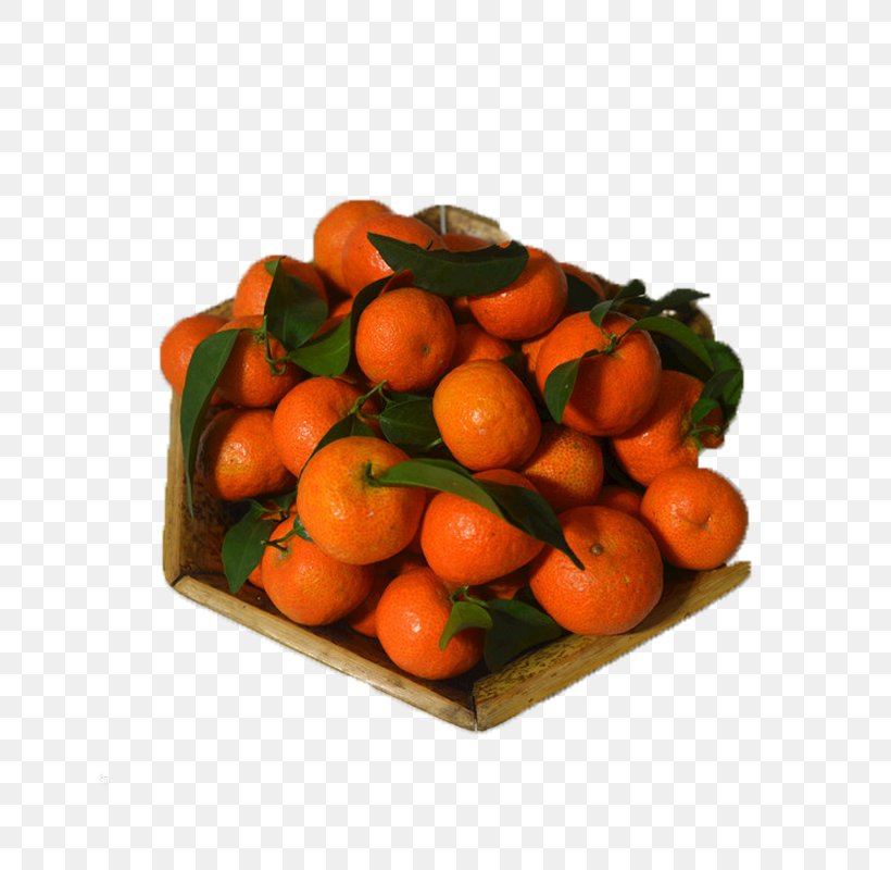 Clementine Mandarin Orange Tangerine, PNG, 800x800px, Clementine, Candy, Citrus, Citrus Leiocarpa, Food Download Free
