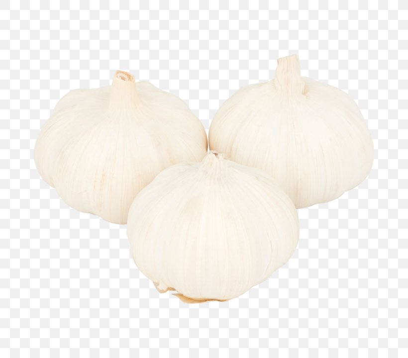 Garlic Onion, PNG, 720x720px, Garlic, Food, Ingredient, Onion, Onion Genus Download Free