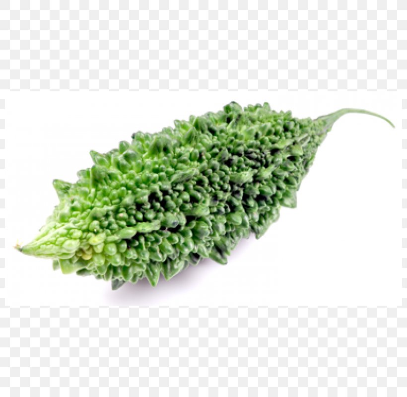 Herb, PNG, 800x800px, Herb, Grass Download Free