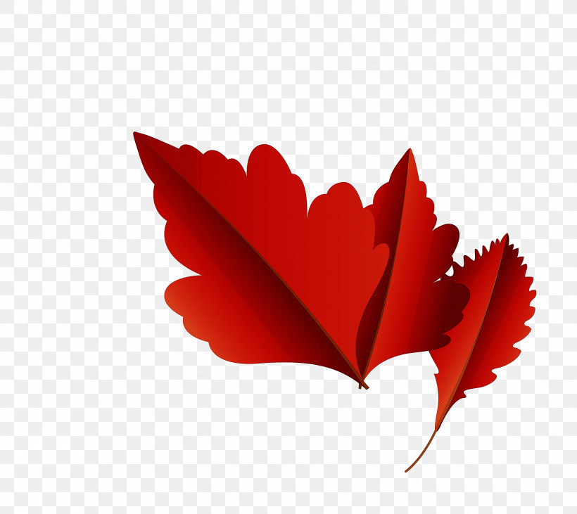 Maple Leaf, PNG, 2999x2676px, Autumn Leaf, Autumn, Biology, Cartoon Leaf, Color Download Free