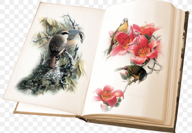 Book Image Bird Clip Art Painting, PNG, 800x568px, Book, Art, Artwork, Bird, Blog Download Free
