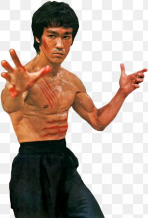 bruce lee stills