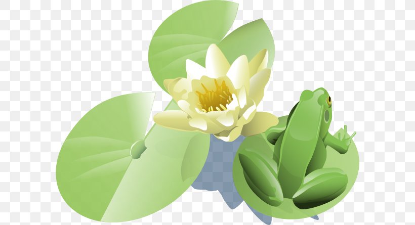 Clip Art, PNG, 600x445px, Water Lilies, Drawing, Flower, Green, Petal Download Free
