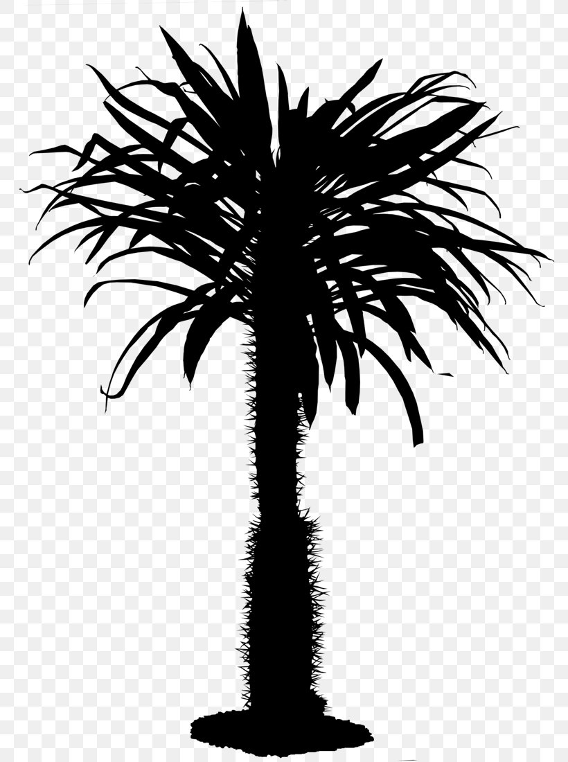 Fierce And Associates Real Estate Fort Lauderdale Estate Agent Miami, PNG, 786x1100px, Fort Lauderdale, Arecales, Asian Palmyra Palm, Attalea Speciosa, Blackandwhite Download Free