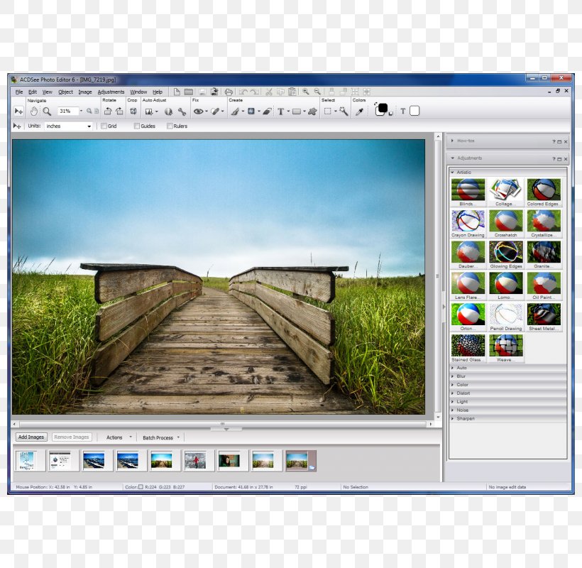 Graphics Software ACDSee Photo Editor Canvas X ACDSee Photo Manager, PNG, 800x800px, Graphics Software, Acdsee, Acdsee Photo Editor, Acdsee Photo Manager, Adobe Lightroom Download Free