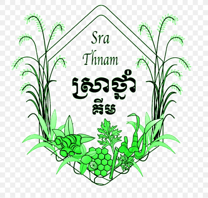 Sra Thnam House Clip Art Grasses Medicinal Plants Plant Stem, PNG, 854x814px, Grasses, Artwork, Flora, Flower, Flowering Plant Download Free