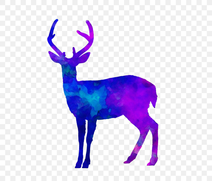 Reindeer, PNG, 560x700px, Watercolor, Antler, Biology, Cobalt, Cobalt Blue Download Free