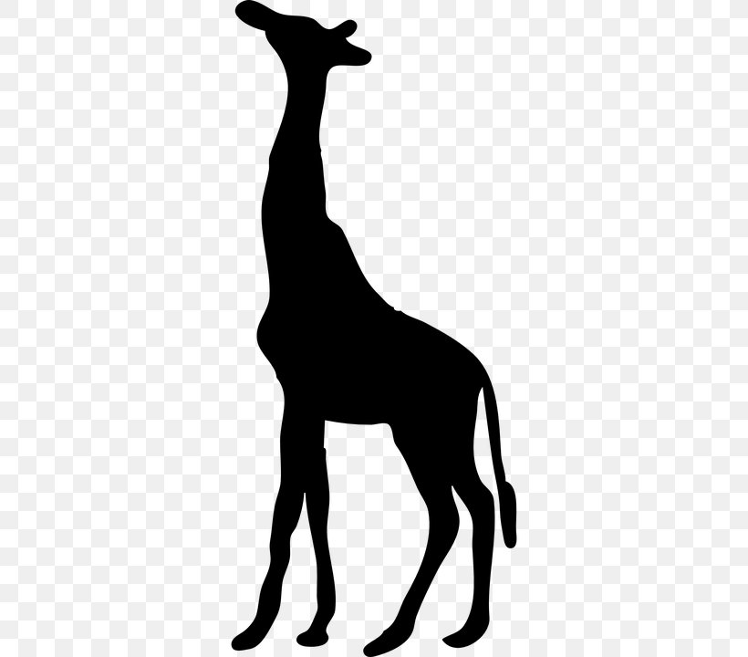 Wall Decal Sticker Northern Giraffe Clip Art, PNG, 360x720px, Decal, Adhesive, Black And White, Deer, Dog Like Mammal Download Free