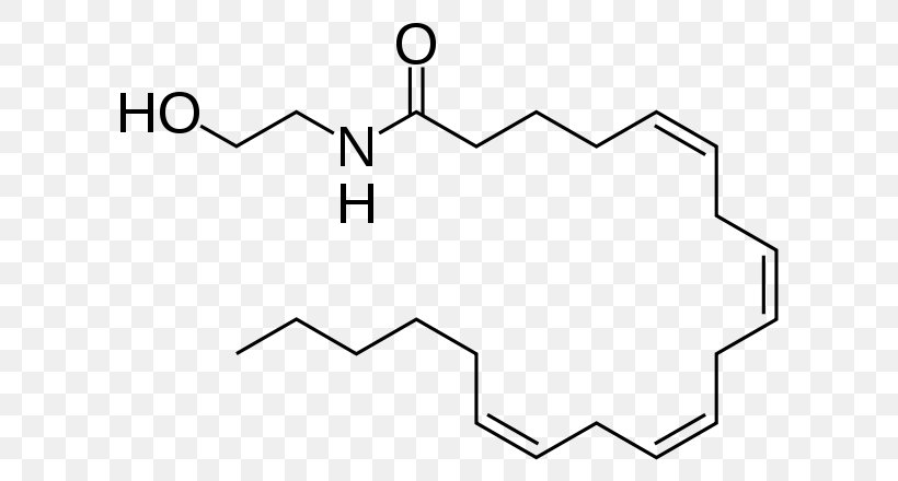 Anandamide Molecule Tetrahydrocannabinol Cannabinoid Receptor Endocannabinoid System, PNG, 640x440px, Anandamide, Amide, Area, Black And White, Brain Download Free