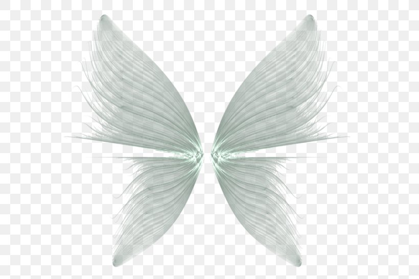 Butterfly Drawing Feather, PNG, 600x547px, Butterfly, Black And White, Cartoon, Drawing, Feather Download Free