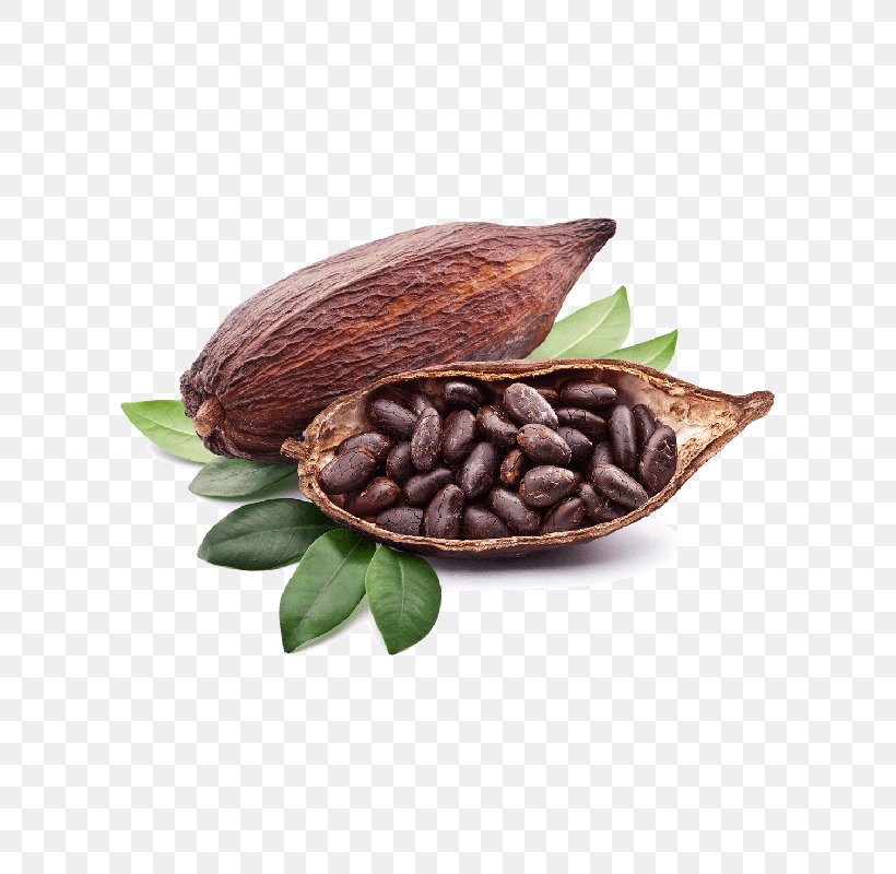 Criollo Cocoa Bean Cocoa Solids Chocolate Liquor, PNG, 600x800px, Criollo, Antioxidant, Chocolate, Chocolate Liquor, Chocolates Valor Sa Download Free
