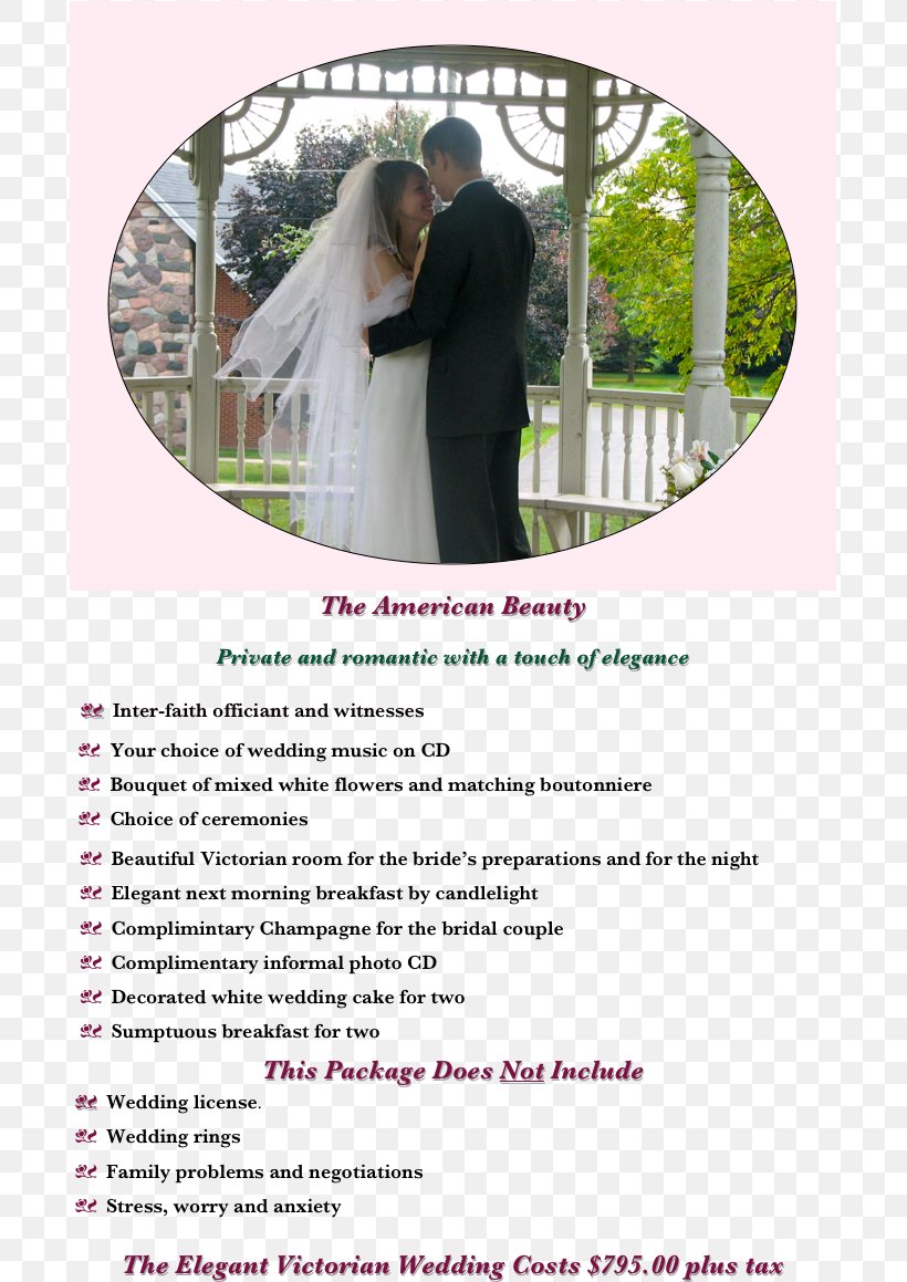 GnuWin32 Wedding Installation Information, PNG, 693x1159px, Wedding, Advertising, Bride, Brochure, Elopement Download Free