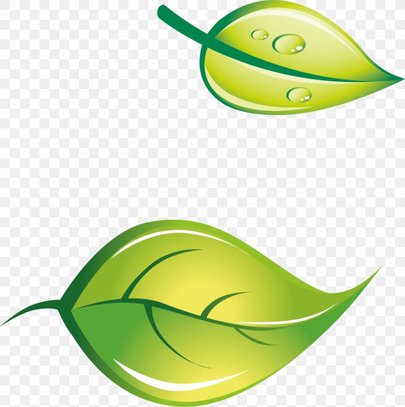 Logo Green, PNG, 904x909px, Logo, Fruit, Green, Leaf, Plant Download Free