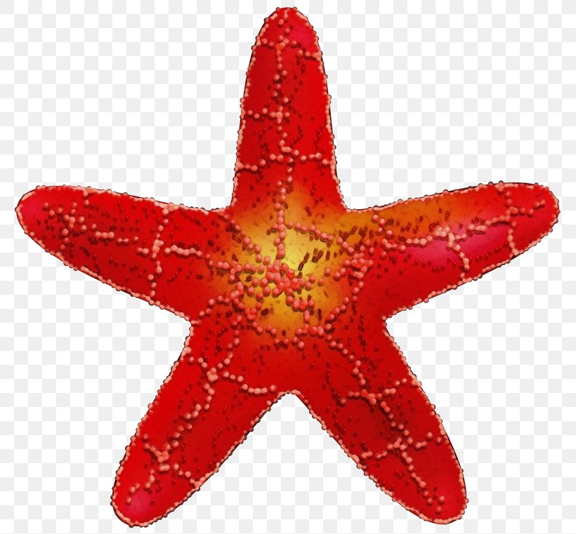 Starfish Red Marine Invertebrates Star, PNG, 800x761px, Watercolor, Marine Invertebrates, Paint, Red, Star Download Free