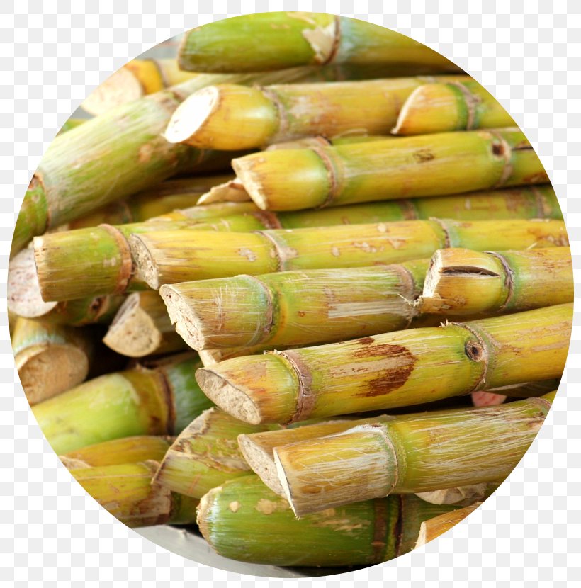 Sugarcane Juice Saccharum Officinarum Photography, PNG, 800x830px, Sugarcane, Commodity, Corn On The Cob, Food, Fruit Download Free