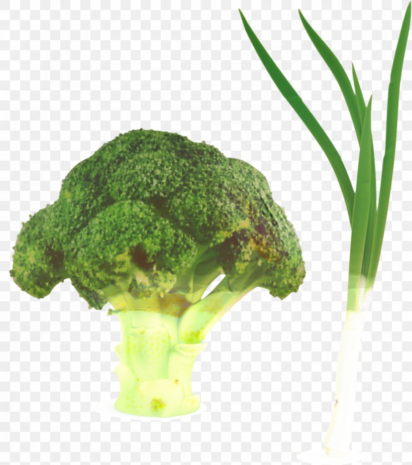 Vegetables Cartoon, PNG, 1187x1341px, Herb, Broccoli, Flower, Flowerpot, Food Download Free