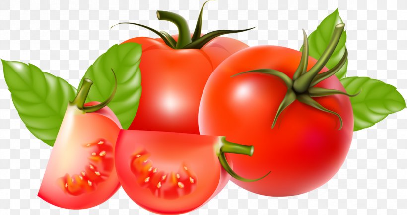 Cherry Tomato Ketchup Tomato Sauce Vegetable, PNG, 1181x624px, Cherry Tomato, Bell Peppers And Chili Peppers, Bush Tomato, Condiment, Diet Food Download Free