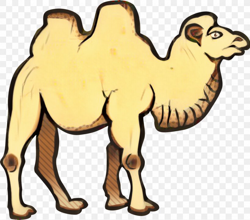 Animal Cartoon, PNG, 1914x1683px, Bactrian Camel, Animal, Animal Figure, Arabian Camel, Camel Download Free
