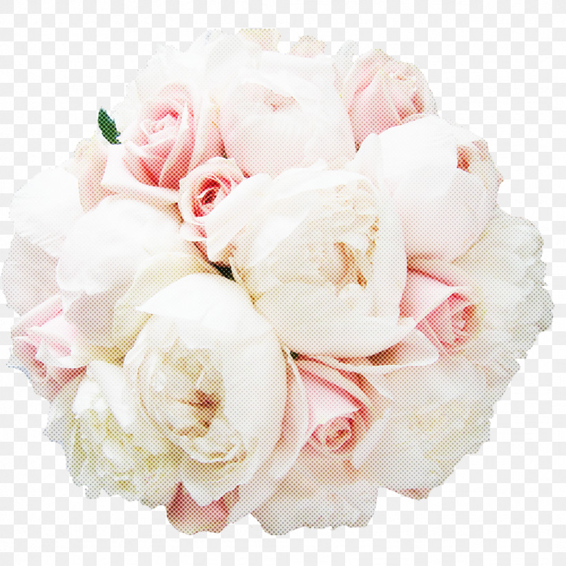 Garden Roses, PNG, 1024x1024px, Flower, Bouquet, Chinese Peony, Common Peony, Cut Flowers Download Free