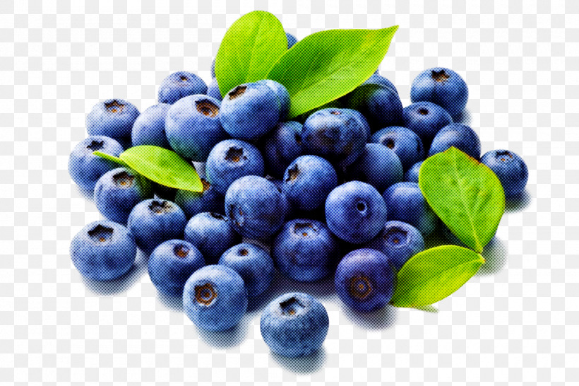 Berry Bilberry Blue Natural Foods Blueberry, PNG, 1000x667px, Berry, Bilberry, Blue, Blueberry, Food Download Free