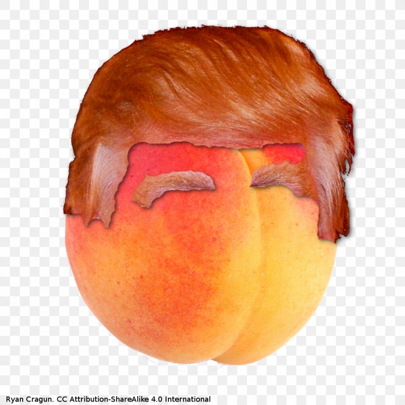 Efforts To Impeach Donald Trump Hair, PNG, 1000x1000px, Peach, Apple, Digital Media, Donald Trump, Efforts To Impeach Donald Trump Download Free