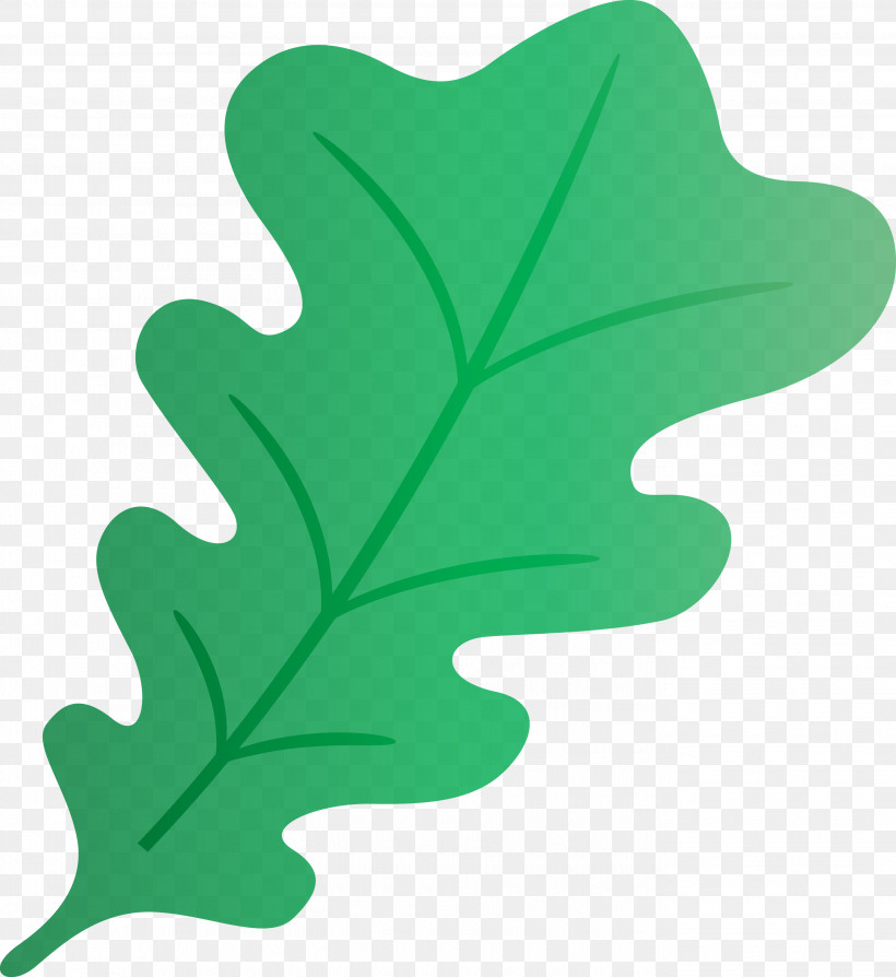Oak Leaf, PNG, 2750x3000px, Oak Leaf, Biology, Green, Leaf, Plant Stem Download Free