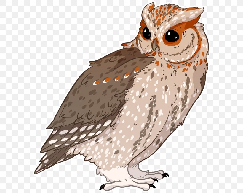 Owl Illustration Fauna Beak Feather, PNG, 600x654px, Owl, Beak, Bird, Bird Of Prey, Fauna Download Free