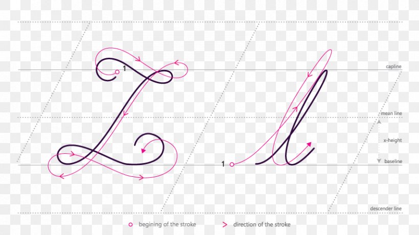 Brand Drawing Line Number, PNG, 854x480px, Watercolor, Cartoon, Flower, Frame, Heart Download Free