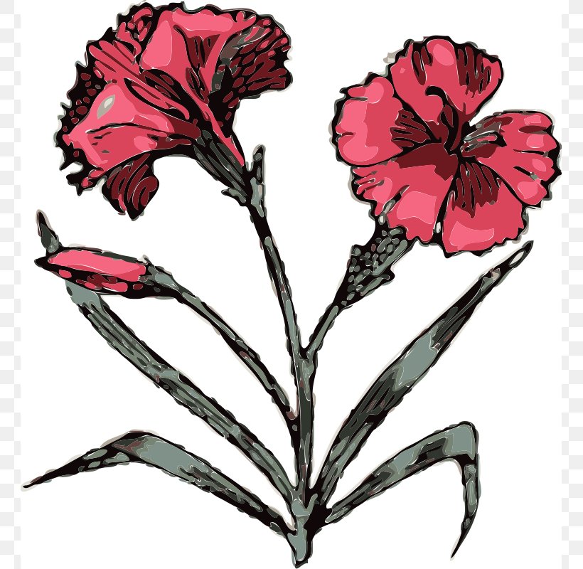 Carnation Free Content Clip Art, PNG, 761x800px, Carnation, Artwork, Cut Flowers, Dianthus, Flora Download Free