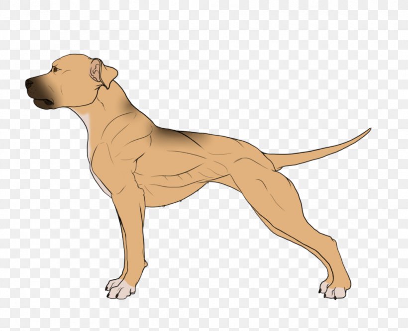 Dog Breed Non-sporting Group Leash Cartoon, PNG, 992x806px, Dog Breed, Breed, Carnivoran, Cartoon, Dog Download Free