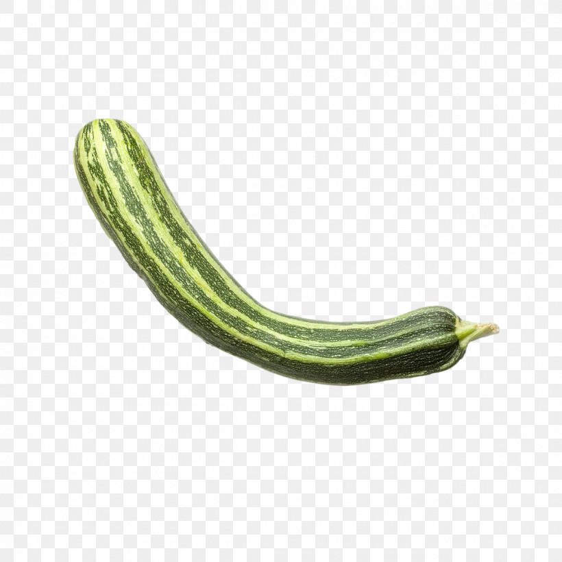 Fermented Cucumbers Cucumber Armenian Cucumber Melon Cucurbits, PNG, 1200x1200px, Fermented Cucumbers, Armenian Cucumber, Commodity, Cucumber, Cucumis Download Free