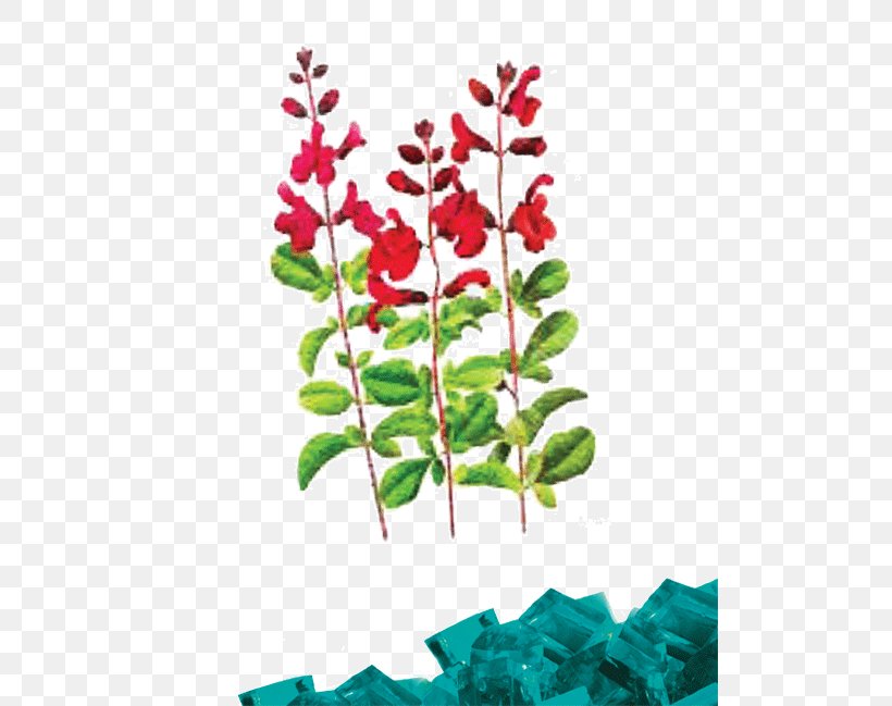 Jelly Pedi Spa Pedicure Petal Information, PNG, 500x649px, Spa, Branch, Flora, Flower, Flowering Plant Download Free