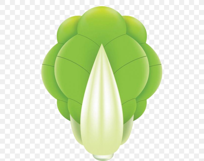 Napa Cabbage Vegetable Chinese Cabbage, PNG, 487x650px, Napa Cabbage, Bok Choy, Cabbage, Cartoon, Chinese Cabbage Download Free