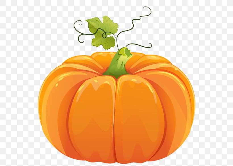 Pumpkin Cucurbita Pepo Calabaza Clip Art, PNG, 600x583px, Pumpkin, Bell Pepper, Bell Peppers And Chili Peppers, Calabaza, Cucurbita Download Free