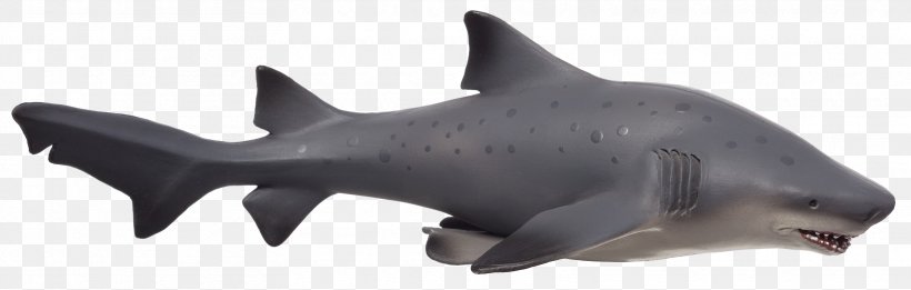 Requiem Sharks Bull Shark Marine Mammal Eared Seal, PNG, 3330x1062px, Requiem Sharks, Animal, Animal Figure, Brackish Water, Bull Shark Download Free