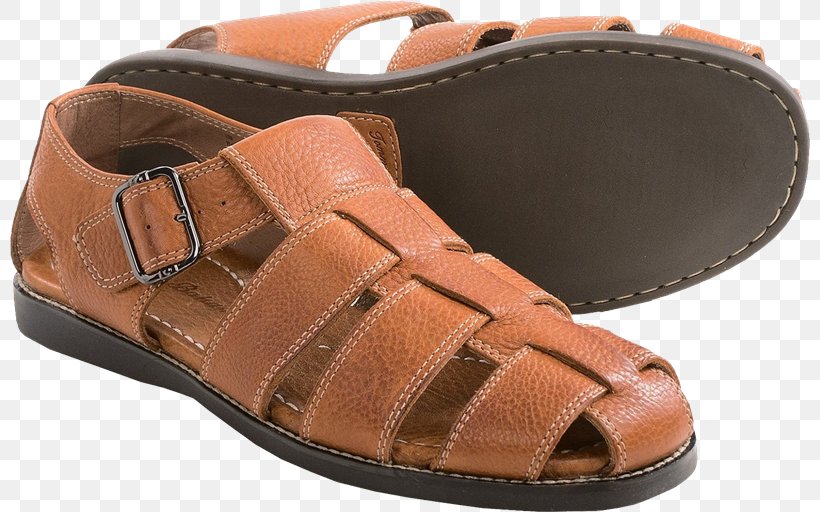 Slipper Sandal Leather, PNG, 800x512px, Slipper, Brown, Clothing, Flipflops, Footwear Download Free