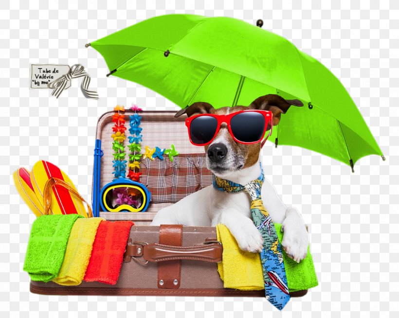 Vacation Jack Russell Terrier Puppy Pet Holiday, PNG, 942x752px, Vacation, Dog, Dog Bakery, Dog Like Mammal, Dog Training Download Free